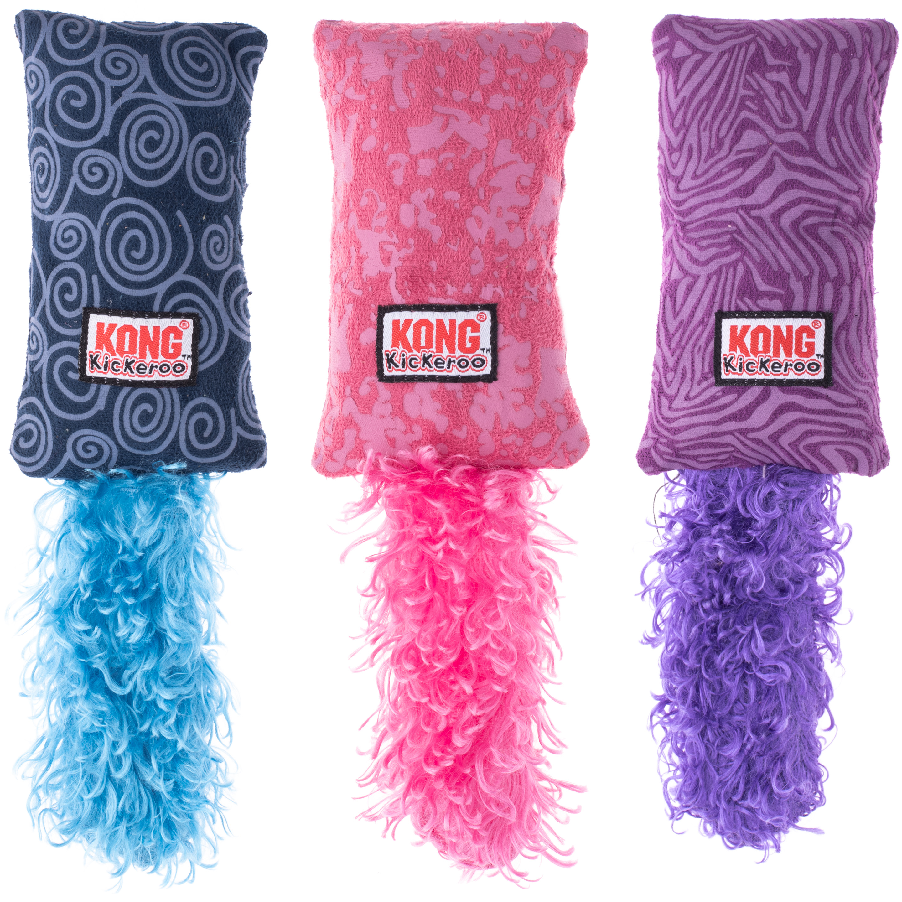 kong kickeroo kitten