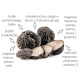 Syta Micha TrufLove z wieprzowiną i truflami 100g - miękkie, hipoalergiczne przysmaki dla psa