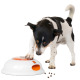 Northmate Pulse Dog Toy - interaktywna zabawka dla psa na przysmaki