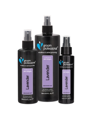 Groom Professional Lavender Cologne - woda perfumowana o relaksującym zapachu lawendy