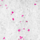 Calitti Crystals Lavender - żwirek silikonowy dla kota, lawendowy