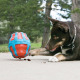 KONG Treat Spinner L 17cm - zabawka na przysmaki dla psa, o dużej pojemności