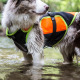 Julius-K9 Multifunctional Vest Orange - kamizelka do pływania da psa, rehabilitacyjna