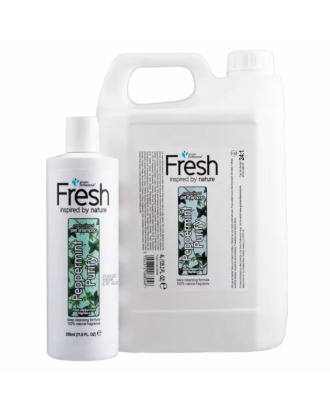 Groom Professional Fresh Peppermint Purify Shampoo - szampon oczyszczający dla psa, koncentrat 1:24