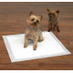 Record WC Dog 60x60cm - maty absorbujące do nauki czystości, dla szczeniąt i psów starszych 16szt.