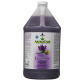PPP AromaCare Lavender Soothing and Relaxing Shampoo - 1:32 Concentrate