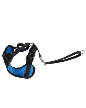 Record Car Seat Belt Set - samochodowe szelki ze smyczą dla psa