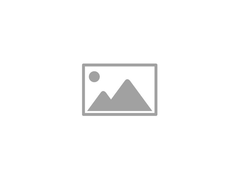 Keller Bursten - duża, owalna szczotka z naturalnego włosia dzika
