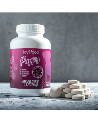 Lovi Food Zdrowe Stawy Puppy 90tbl. - preparat na stawy dla szczeniaka, w tabletkach