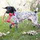 KONG Goodie Bone with Rope - czerwona, gumowa kość dla psa z liną, gryzak i szarpak