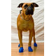 PAWZ - gumowe buty dla psów, rozmiar M, 12szt.
