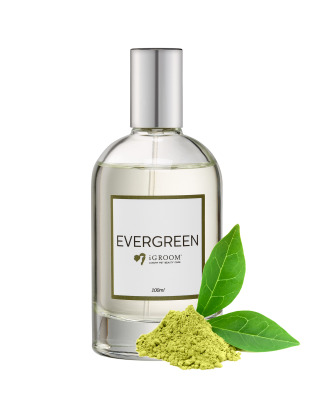 iGroom Eau De Toilette Evergreen 100ml - perfumy dla psa o świeżym zapachu zielonej herbaty i cytrusów