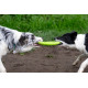 Kiwi Walker Let's Play Frisbee Blue - frisbee dla psa, niebieskie