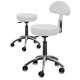 Gabbiano AM 304 - krzesło/taboret groomerski z oparciem oraz regulacją wysokości, białe