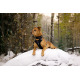 Hurtta Weekend Warrior Collar Raven - wodoodporna obroża dla psa