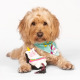 Max&Molly Reversible Bandana Unicorn - apaszka dla psa, dwustronna