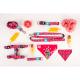 Max&Molly Reversible Bandana Magical - chusta dla psa, dwustronna