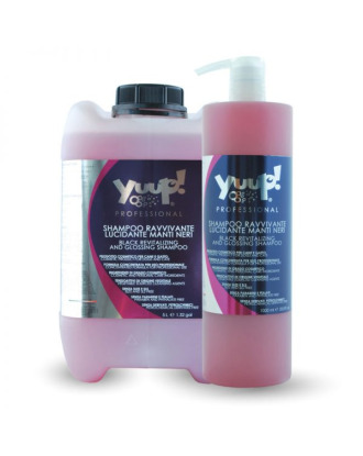 Yuup! Professional Black Revitalising & Glossing Shampoo - szampon nabłyszczający do szaty czarnej i ciemnej, koncentrat 1:20