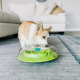 Nina Ottosson Wobble Bowl Level 1 - gra edukacyjna i miska spowalniająca jedzenie dla psa, poziom 1