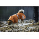 Hurtta Monsoon Coat Buckthorn - płaszcz przeciwdeszczowy dla psa