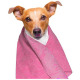 Doogy Cooling Pet Towel 66x43cm - ręcznik chłodzący dla psa i kota