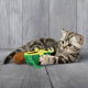 KONG Wrangler AvoCATo - pluszowa zabawka dla kota z grzechoczącą piłeczką, z kocimiętką