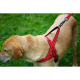 KONG Norwegian Harness - wyściełane szelki norweskie dla psa, czerwone