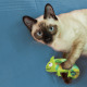 KONG Cat Refillables Catnip Ladybug - mała zabawka z kocimiętką dla kota, błyszcząca biedronka z zapasem kocimiętki