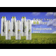 Iv San Bernard SLS Free Lemon Conditioner - odżywka cytrynowa do krótkiej sierści psów i kotów, bez SLS