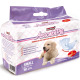 BestBone Nappies AssonbiPi 12szt. - pampersy dla psa, pieluchy