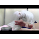 Pure Paws Love My Eyes Tear Stain Remover Debris Cleanser 118ml - spray czyszczący do pyszczka, krok 2