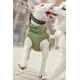 Hurtta Razzle-Dazzle Collar Beetroot - regulowana obroża dla psa