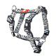 Max&Molly H-Harness Zebra - kolorowe szelki dla psa i szczeniaka, regulowane