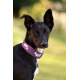 Hurtta Weekend Warrior Collar Currant - wodoodporna obroża dla psa