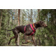 Hurtta Casual Eco Y-Harness Ruby - szelki guard dla psów z recyklingowych materiałów