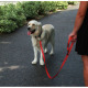KONG Adjustable Leash 5 in 1 M/L - nylonowa smycz przepinana z odblaskowymi przeszyciami, 200cm