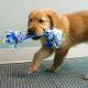 KONG Rope Ball Puppy Blue - sznurowa, miękka piłka dla szczeniaka, niebieska