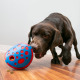 KONG Rewards Wally M/L (13cm) - duża zabawka na przysmaki dla psa, twarda