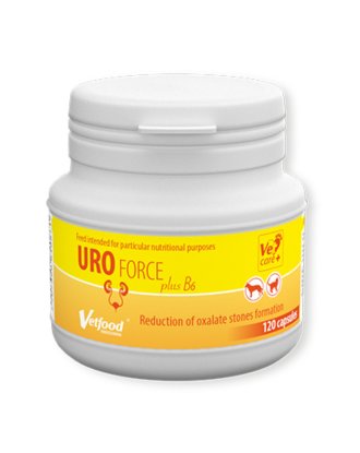 Vetfood UROforce Plus B6 120tbl. - preparat dla psa i kota z kamicą nerkową
