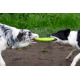 Kiwi Walker Let's Play Frisbee Green - frisbee dla psa, zielone