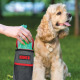 KONG Pick-Up Pouch Bag - torebka na zużyte woreczki na psie odchody