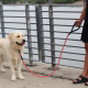 KONG Rope Leash L/XL Black 1,5m - smycz linowa dla psa z odblaskowymi przeszyciami, czarna